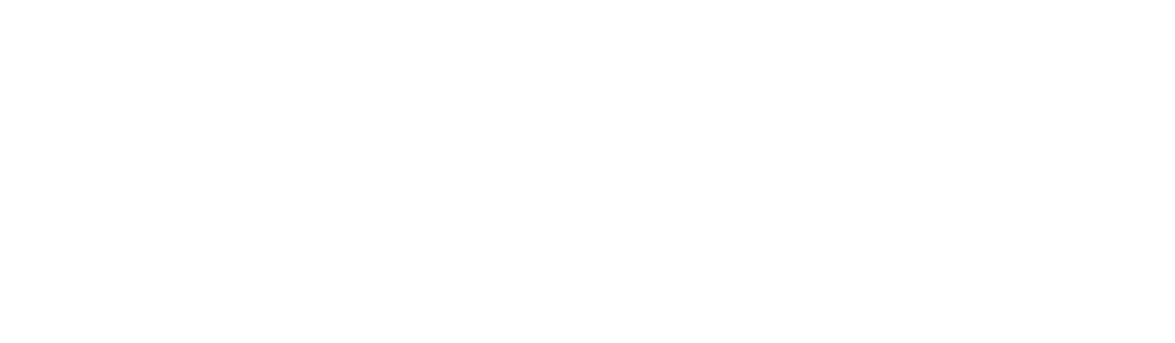 DIGITOP